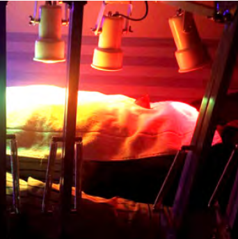 Cromoterapia Glossário temático PICS Ministério da Saíde 1ª ed 2018