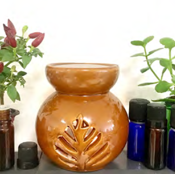 Aromaterapia Glossário temático PICS Ministério da Saíde 1ª ed 2018