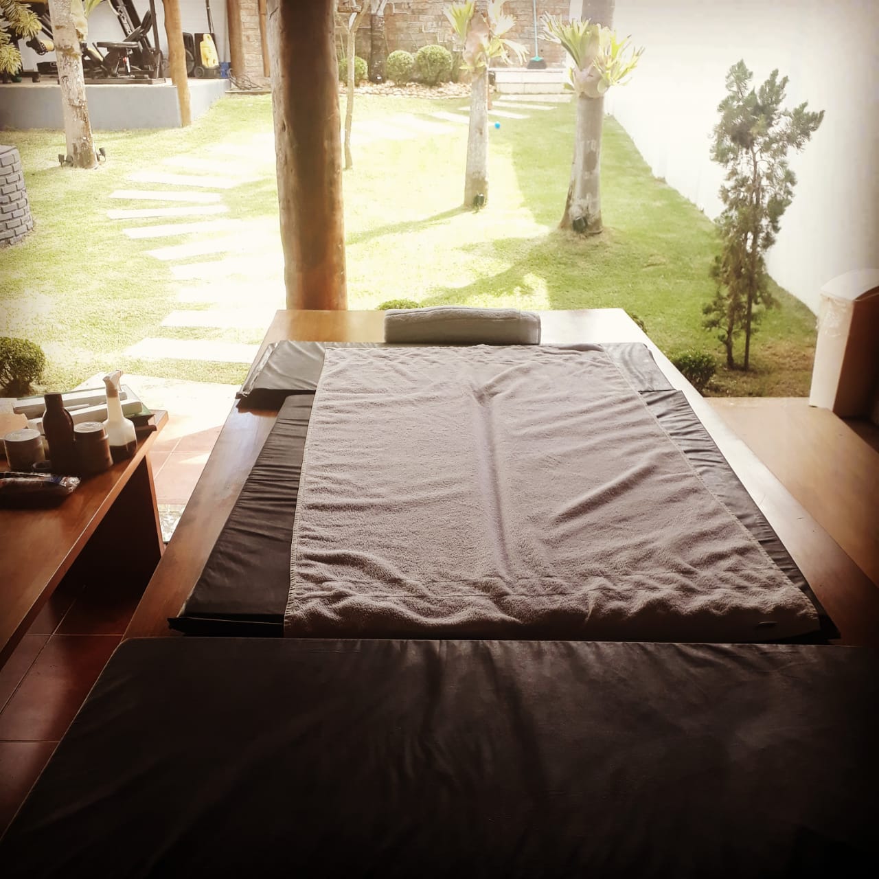 Elize Oliveira OPISB 600 Terapeuta PICS