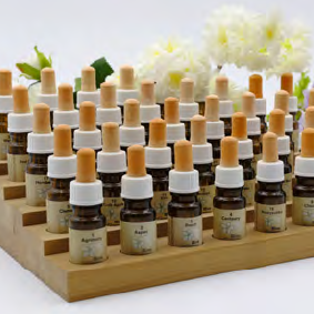 Terapia de florais  Glossário temático PICS Ministério da Saíde 1ª ed 2018.png